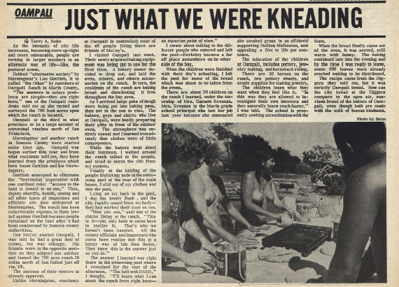 screen shot 2019-01-17 at 4.25.02 pm